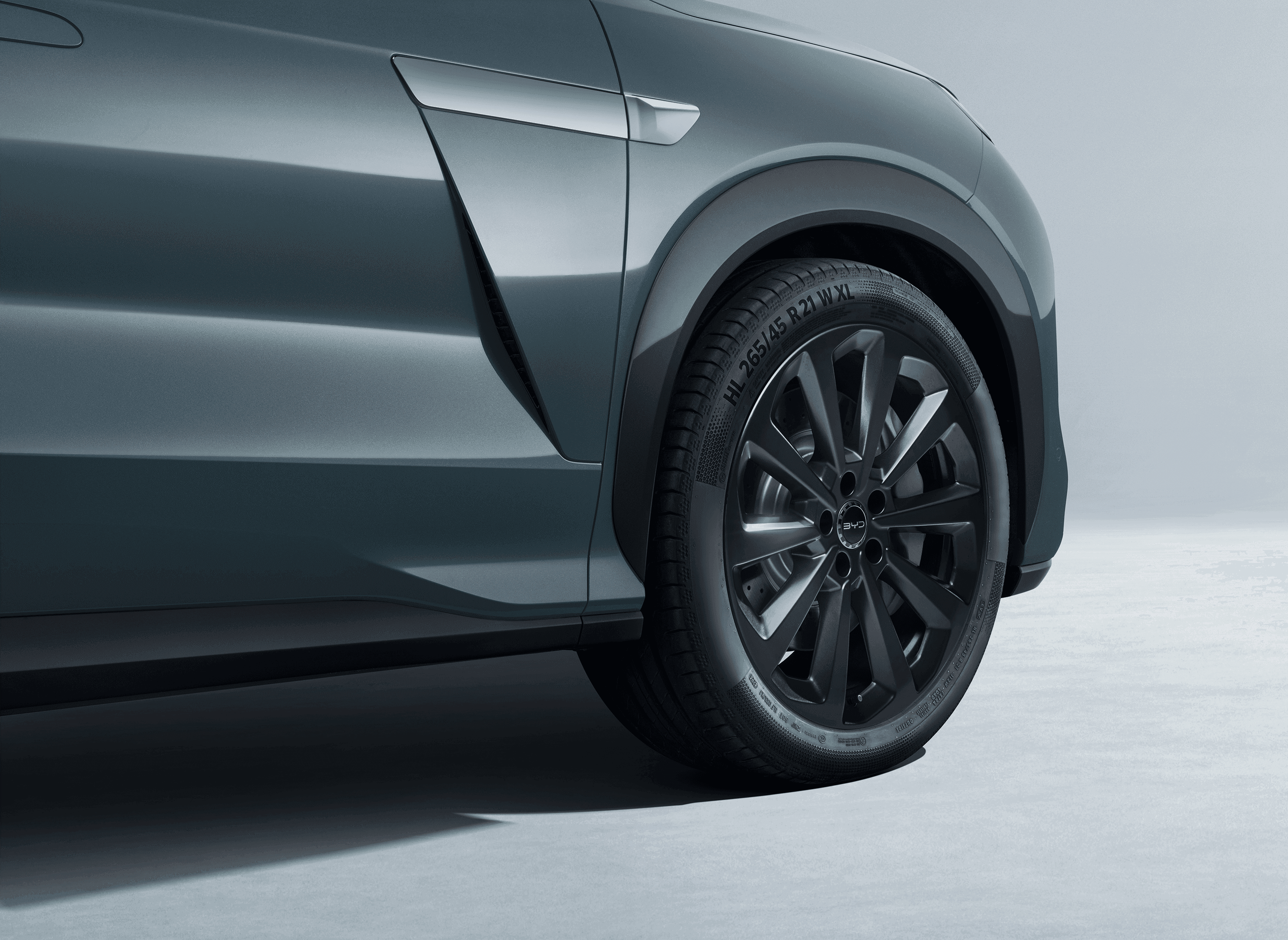 Bold Long Whisker Trim